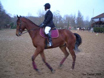 32-E1 Soline montant Locky