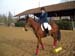 16- E2 Tiphaine montant Locky