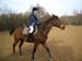 21-Marie-Alix montant Hooligan